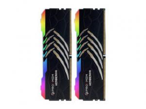 阿斯加特博德斯曼-地狱犬 RGB DDR5 6800 32GB(16GB×2)