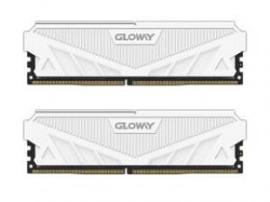 光威天策 DDR5 5600 24GB(12GB×2)