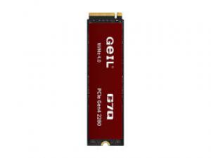 金邦G7Q 1TB M.2 SSD