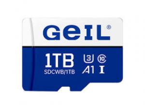 金邦蓝白TF(1TB)