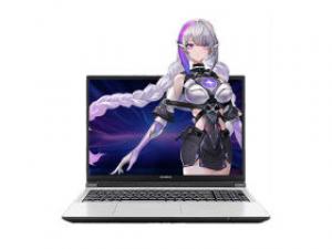 七彩虹隐星P16 Pro(酷睿i9-13900HX/16GB/1TB/RTX5070/2.5K/165Hz)
