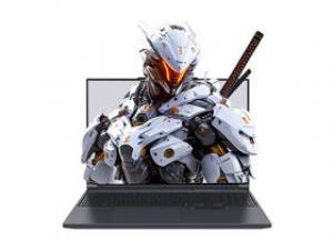 机械革命极光X(酷睿i7-13700HX/16GB/1TB/RTX5060/2.5K/180Hz)