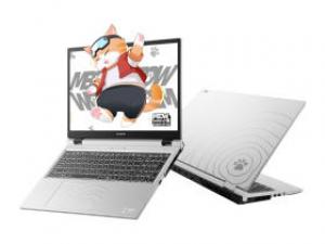 七彩虹MEOW R15(锐龙7 H 255/16GB/512GB/RTX5050/165Hz)