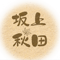 坂上秋田旗舰店